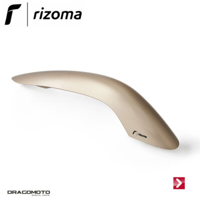 Vespa GTS 300 HPE Super Tech 2019 Fries Kotflügel vorne RIZOMA ZVP013Z B...