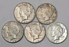 5 Peace Silver Dollars - 5 Coin Lot SK17
