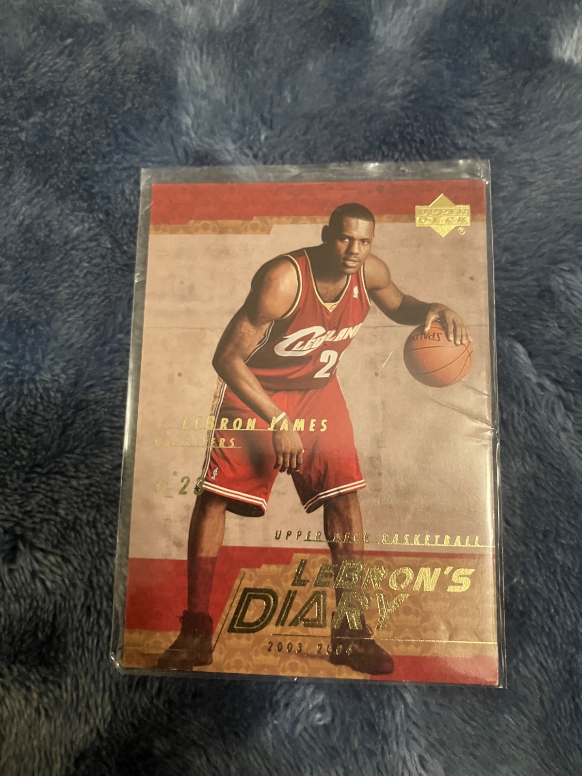 2003-04 Upper Deck - Lebron's Diary LeBron James #LJ13 (RC)