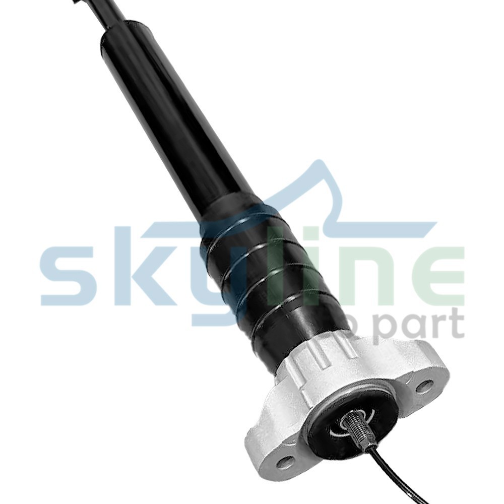 Rear Left&Right Air Shock Strut Assys For Maserati Levante M161 2017-2020 3.0L