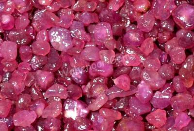 25 To 10000 Ct Natural Burma Pink Ruby Transparent Top Quality Earth-Mined Rough