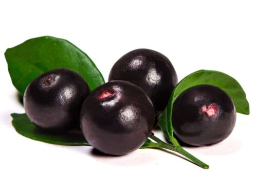 Antioxidant complex - ACAI BERRY – GRAPE SEED EXTRACT COMBO -acai powder organic - Picture 5 of 12