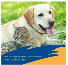 BBA Spray for Dogs, Cats, Puppies Kittens 16 fluid ounces US