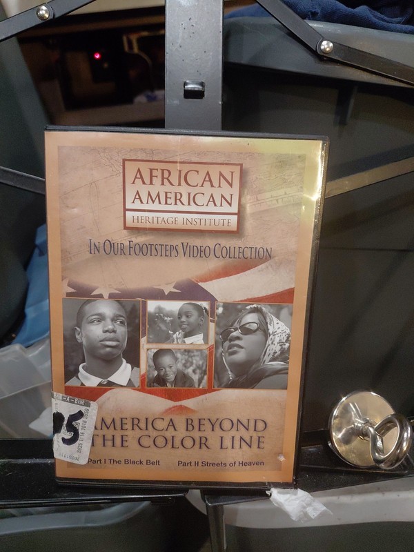 America Beyond  The Color Line Dvd