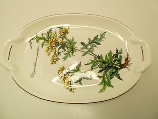 VINTAGE VILLEROY & BOCH POTTERY PAINTED BOTANICA PLATE CHRYSANTHEUM PARTHENIUM