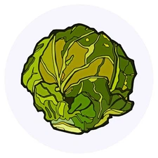 24 x 'Brussel Sprout' Stickers (SK00018056)