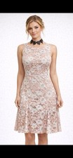 ADRIANNA PAPELL DRESS/RETAIL$160/SIZE 8/LINED/LENGTH 39"/LACE