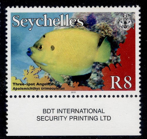 SEYCHELLES QEII 2010 PECES individuales, SG986-996. NH COMO NUEVO. ELIGE DE LA LISTA. - Imagen 17 de 22