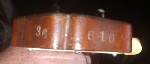 1919 Antique Mandolin by VEGA CO. Boston Bowl Back new set up - Picture 17 of 17