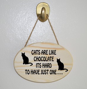 do cats like chocolate