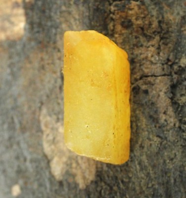 79.05 Ct Natürlicher Gelber Saphir Roh Edelstein AGI Zertifiziert Slice T36636