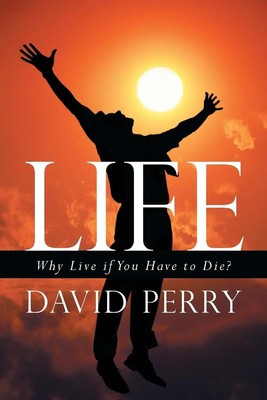 David Perry | Life | Taschenbuch | Englisch (2013) | Kartoniert / Broschiert