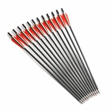 20" 12Pcs Fiberglass Arrows 8.8mm Archery Changeable Tips Bow Shooting Hunting