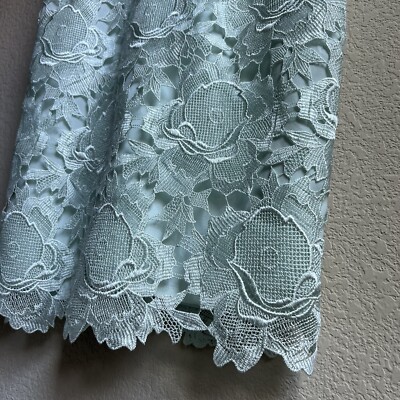NWT Ted Baker Womens Raenna Fitted Lace Dress Light Pastel Mint Green, Size  8 | eBay