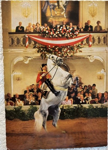 Spanische Hofreitschule AK Lipizzaner Pferde Wien Österreich Vintage Kunstkarte
