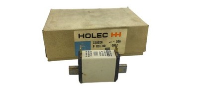 Holec HH P851-00 Kema Keur Sicherung gT-50A 500V P 851-00