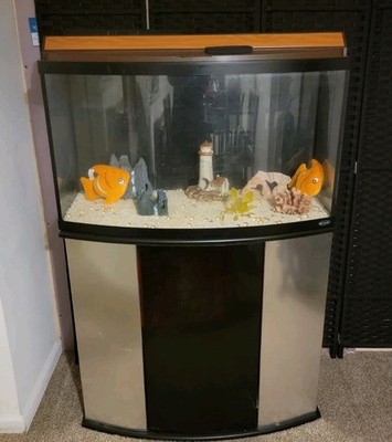 55 gallon fish tank with stand, accessories and light included