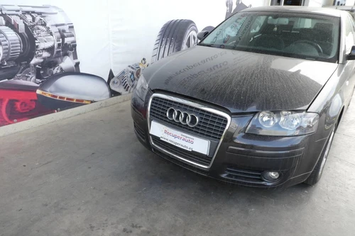 Fusée Avant Gauche pour AUDI A3 SPORTBACK (8PA) 2.0 TDI Ambiente (DPF) 7313300 - Imagen 10 de 10