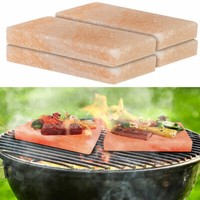 4Er-Set Salzsteinplatten FüR Grill & Bbq, Rechteckig, 10 X 20 X 2,5 Cm