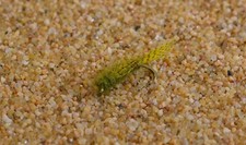 1 Doz Birds Nest Fly Nymph Caddis Larva Flies - Tied on Mustad Signature Hooks