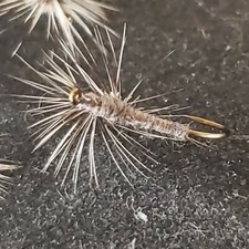 TROUT DRY FLY SIZE 12 CALLIBAETIS LOOPWING PARADUN FRONTIER FLY FISHING FLIES