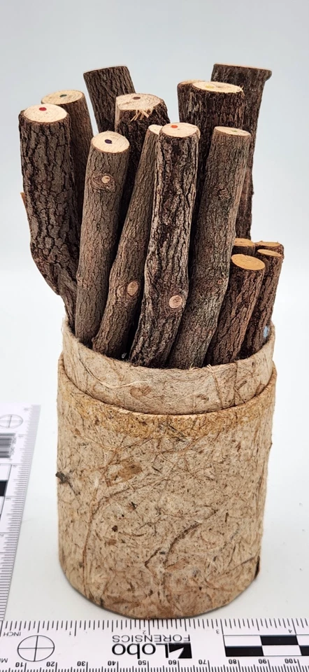 19 Twig Pencils & Cup Wooden Colored Graphite Pencils Homeschool or Reenactors - Image 2 of 4