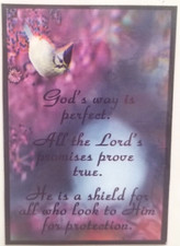 God's Way Is Perfect! All The Lord Promises Prove True  MAGNET