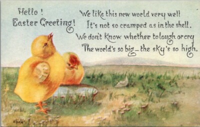 Antique Postcard Hello Easter Greeting Yellow Chicks Eggshell  FA Owen Co 1910