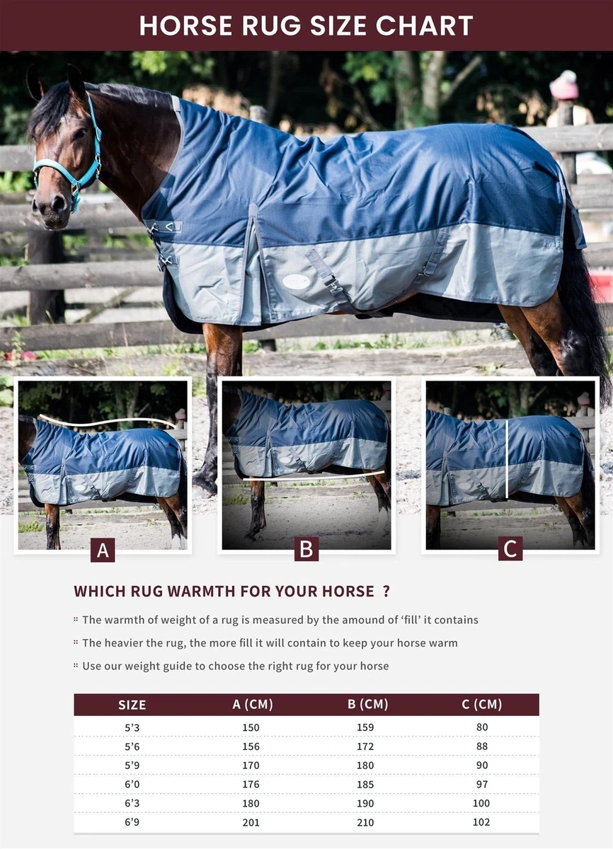 Saxon Horse Rug Size Chart Two Birds Home