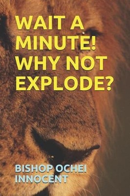 Wait a Minute! Why Not Explode? by Bishop Ochei Innocent (English) Paperback Boo