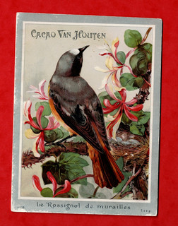 BIRDS CACAO VAN HOUTEN FRENCH ISS No. 18 LE ROSSIGNOL DE MURAILLES ( REDSTART)