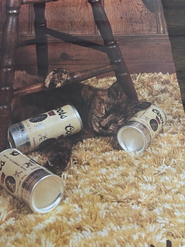 POSTER BIRRA COORS VINTAGE ANNI 70 ROCKY MOUNTAIN HIGH CAT UBRIACO GRAFICA WESTERN RARO - Foto 4 di 9