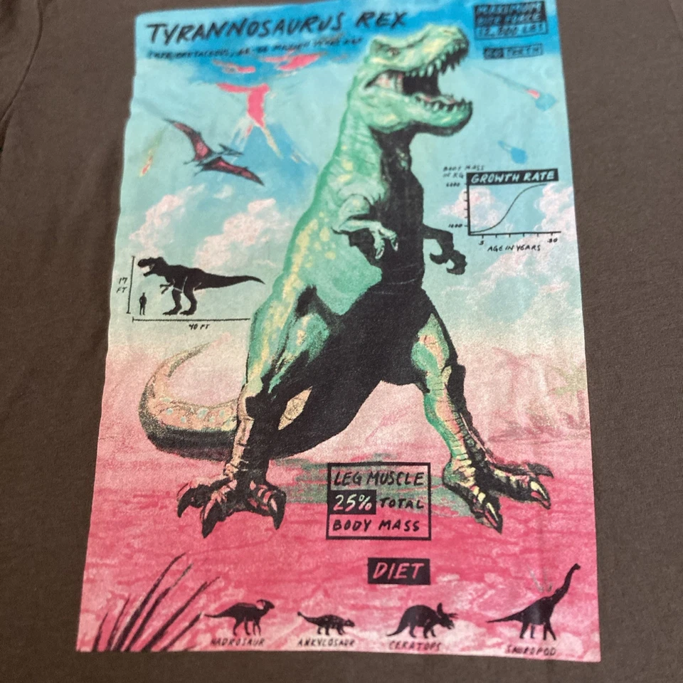 Old Navy Tyrannosaurus Rex Graphic Green Short Sleeve T-Shirt Kids Size L 10/12 - Image 2 of 4