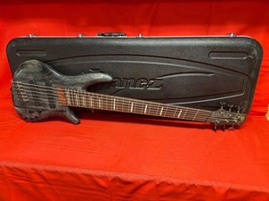 Ibanez Bass Guitar Case | eBay