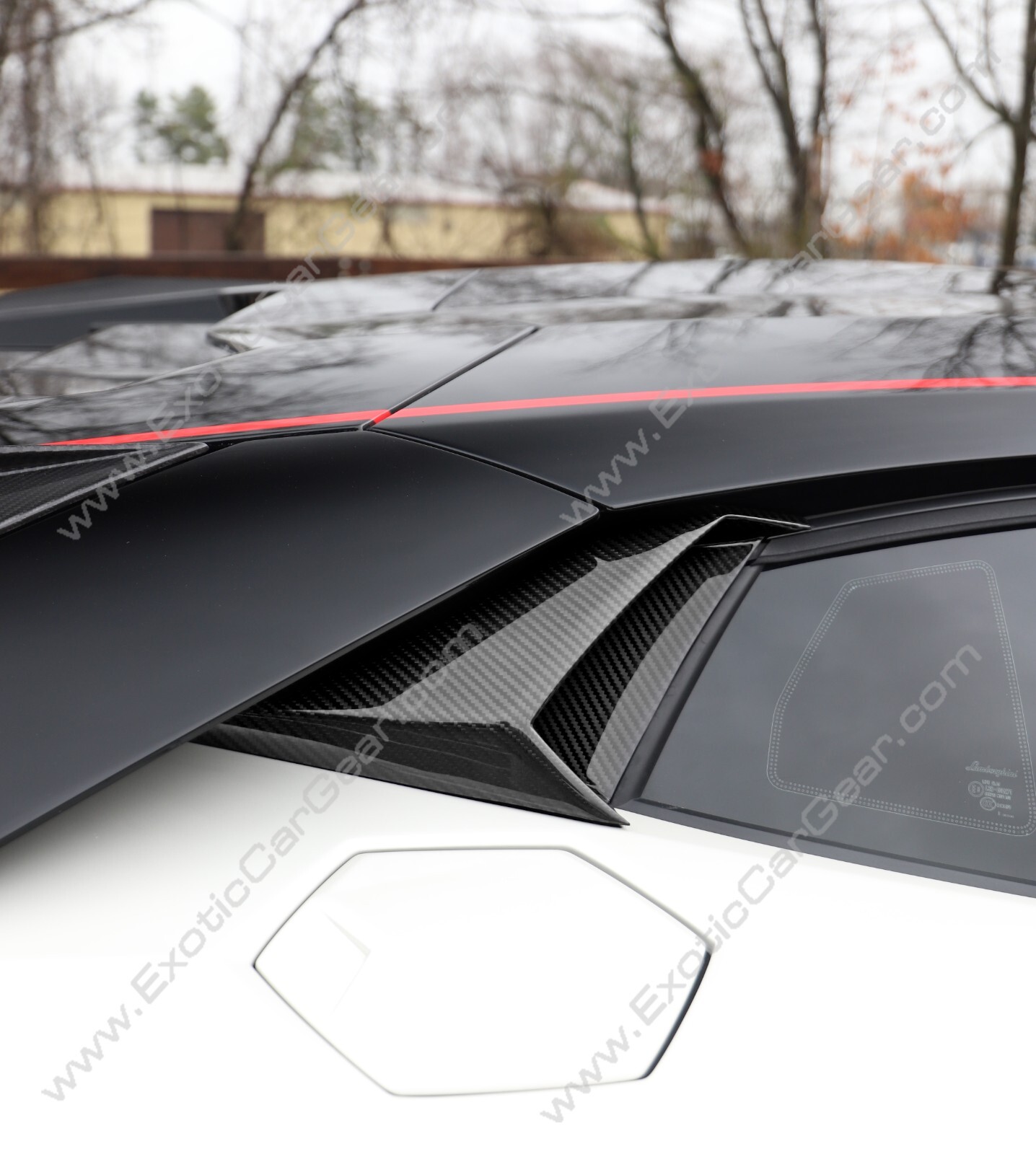 Lamborghini Aventador Carbon Fiber Side Engine Intakes