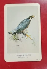 VINTAGE GENERAL CIGAR COMPANY LTD CARD, MONTREAL, NORTHERN BIRDS #3 FALCON 