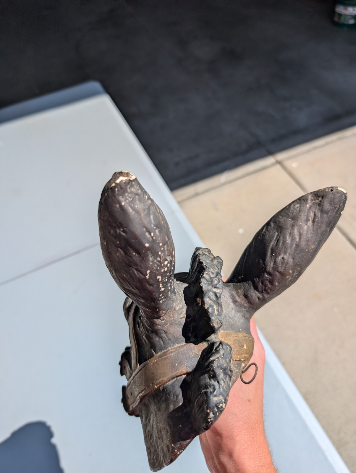 RARE 1909 Borax Mule Head Chalk Advertisement Wall Decor Advertising Sign