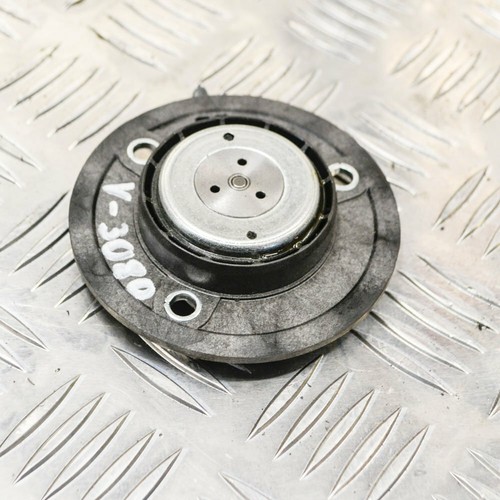 Audi A6 C8 45 TFSI Nockenwellenversteller Magnet 06Q109259B 180kw 2020