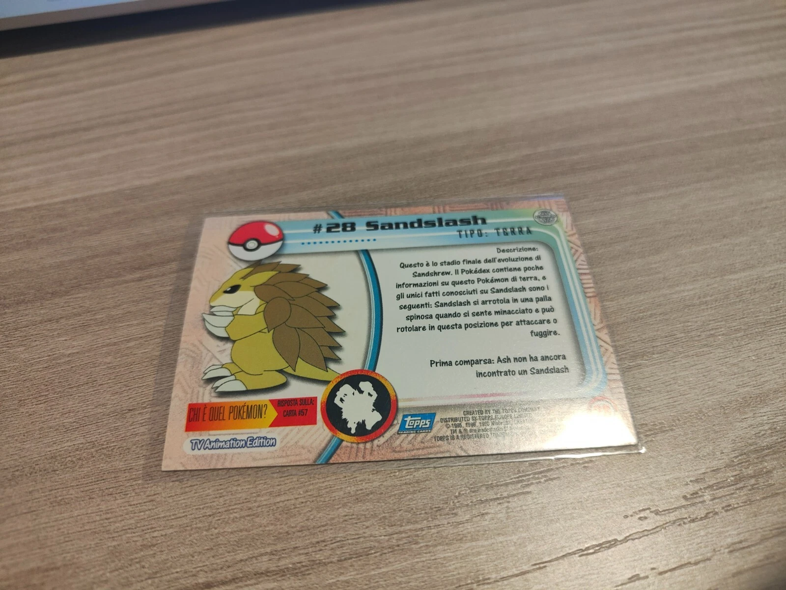 Foto 7 di 23