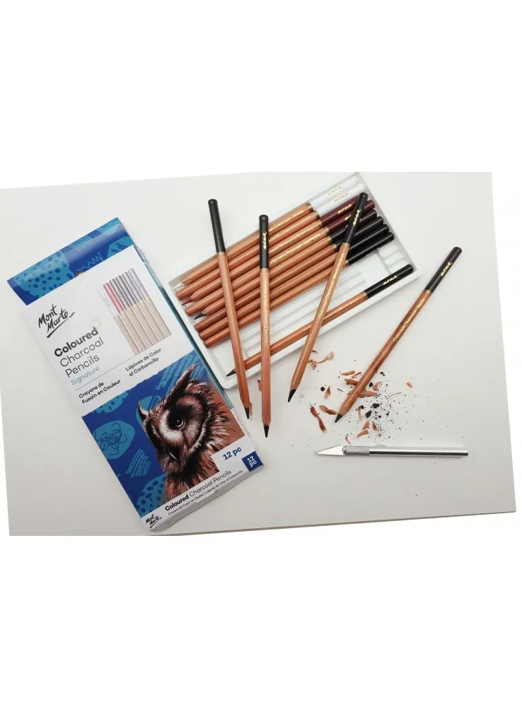 12pc Mont Marte Coloured Charcoal Pencils Artist Drawing Sketching Art  Supply