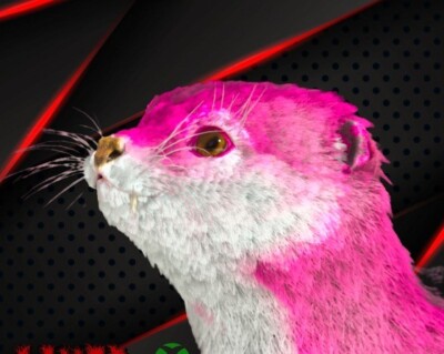 ARK Survival Ascended  [PVE]  Cute otter with good weight and 100%imprint