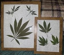 Handmade Set of 2 Photo Frames Featuring Real Dried Pressed Hemp Leaves.