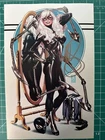 Amazing Spider-Man 10 NYCC Mark Brooks Black Cat Virgin Variant Signed