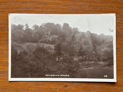Hovingham Woods Postkarte - Echtfoto RP - W. Bramley Leeds 1914 Sozialgeschichte