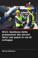 Murod Sattarov | W13: Gestione Delle Prestazioni Dei Servizi Idrici Nei Paesi...