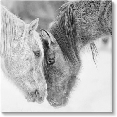 Horse Hug Photography Canvas Wall Art by PH Burchett