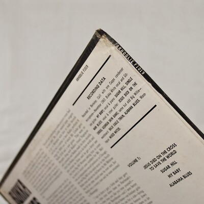 米LP Bukka White Sky Songs Vol. 1 F1019 ARHOOLIE /00260 BUKKA WHITE -Sky Songs Vol. 1- LP 1965 Arhoolie Records