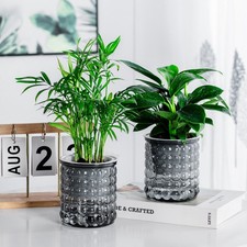 Mini pot de fleurs auto-arrosant pots de plantes en plastique pot de jardinière auto-arrosant