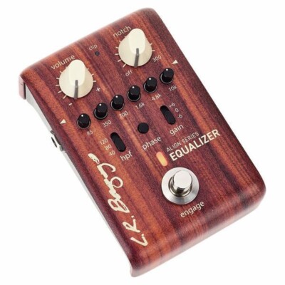 LR Baggs Align Series Active EQ Akustik Effektpedal D