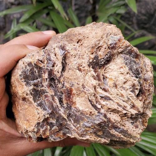 Genuine 1,1 Kg Raw Amber Zebra Motif Indonesia Specimen Rough Certificate - Picture 9 of 12